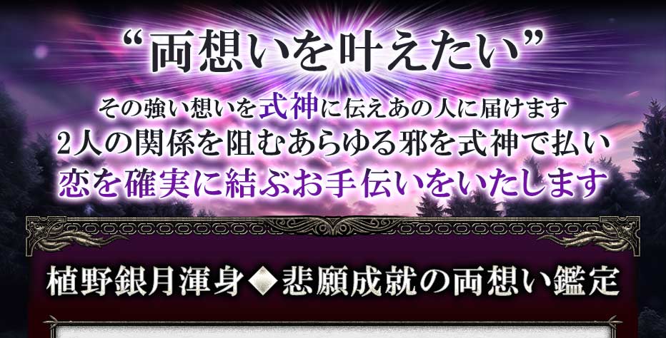 “両想いを叶えたい” その強い想いを式神に伝えあの人に届けます 2人の関係を阻むあらゆる邪を式神で払い恋を確実に結ぶお手伝いをいたします 植野銀月渾身◆悲願成就の両想い鑑定