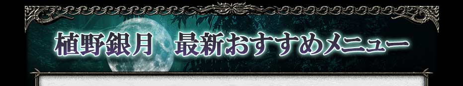 新着おすすめメニュー