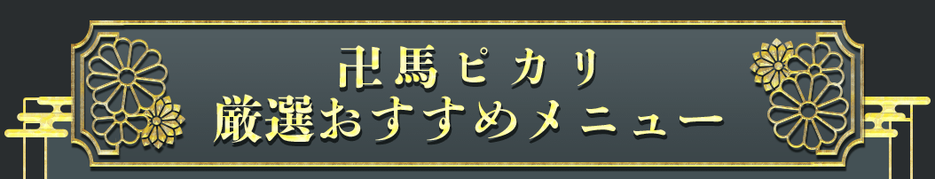 厳選おすすめメニュー